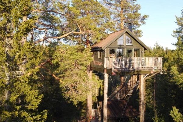 Tretopphytta Kraggbua