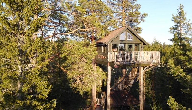 Tretopphytta Kraggbua