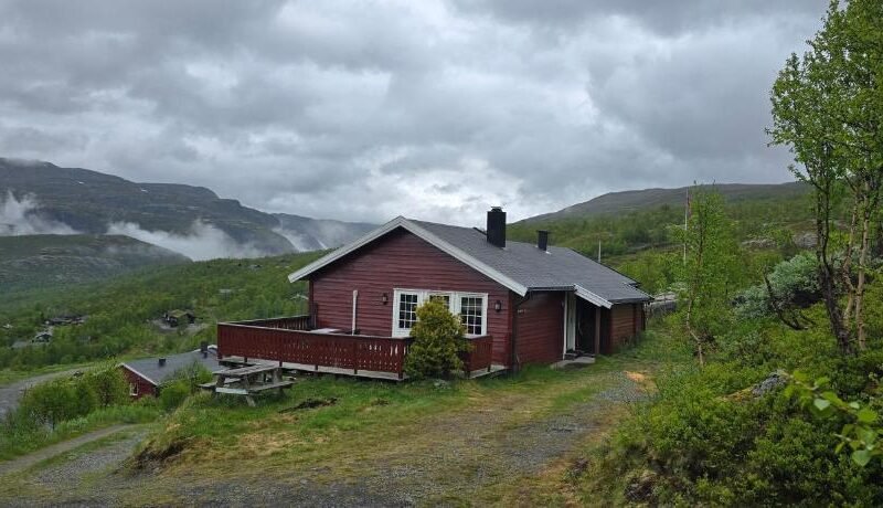 Fjellheimens Svanebu
