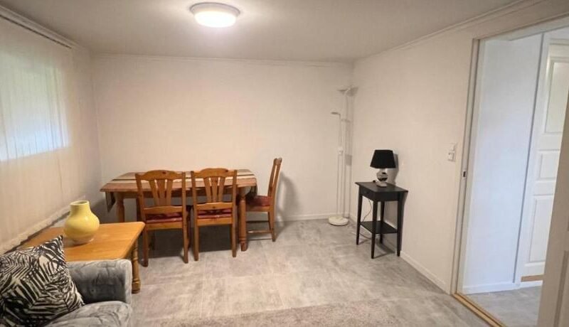 Hyggelig leilighet Rade