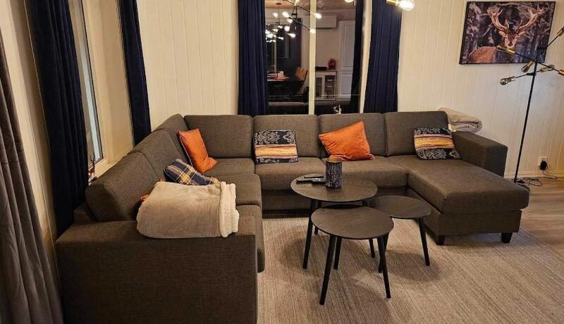 Flott hytte i Elgtrakket 9, 3864 Rauland Skisenter – Holtardalen