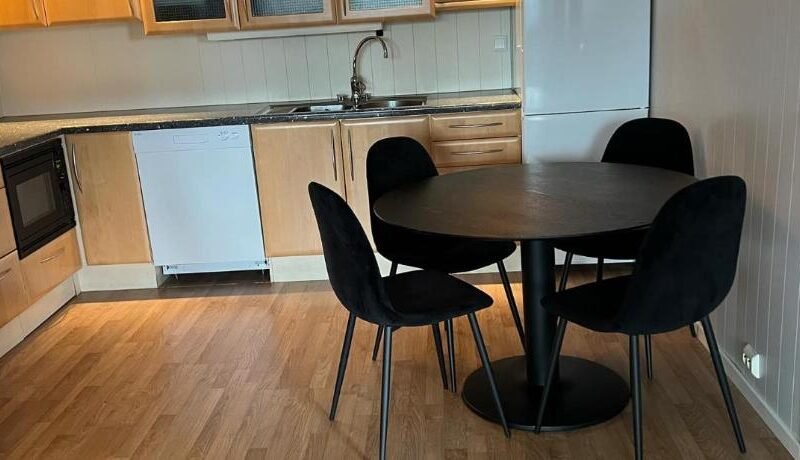 Kozy apartment close to city center