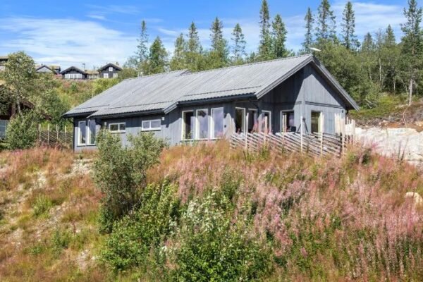 Modern Family Cabin at Norefjell – Views and Hiking