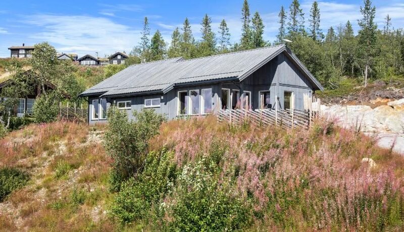 Modern Family Cabin at Norefjell – Views and Hiking