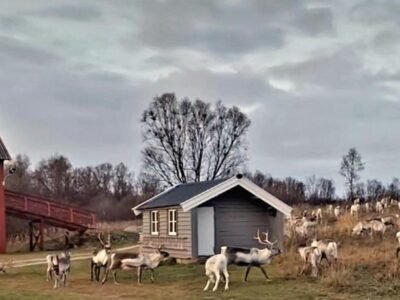 Stenli Retro Guesthouse