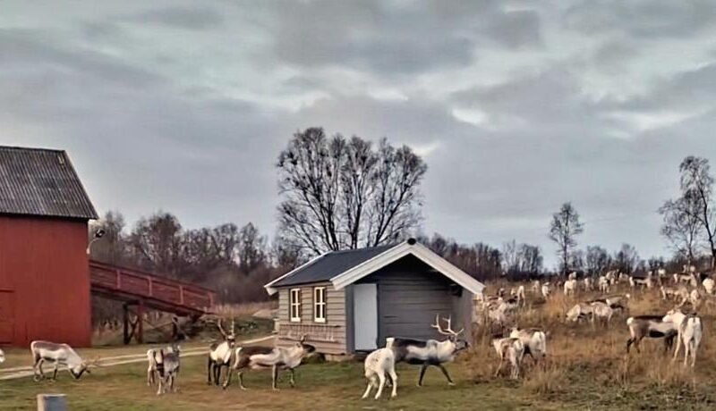 Stenli Retro Guesthouse