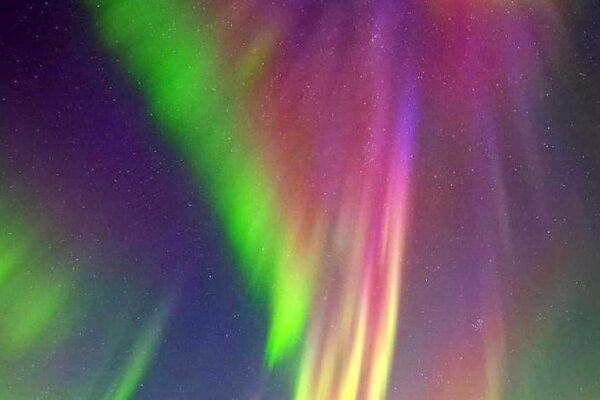 Artic Dream