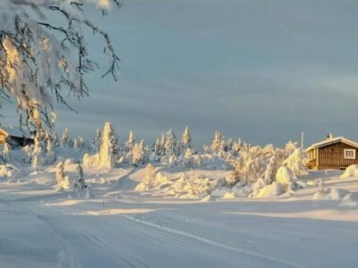 Family Cabin With Firepit At Søndre Fjellstølen