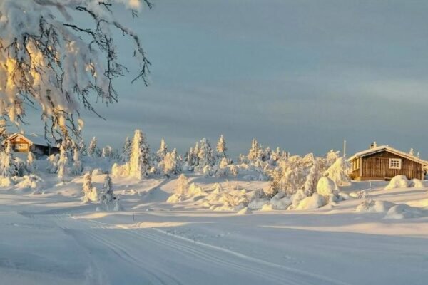 Family Cabin With Firepit At Søndre Fjellstølen