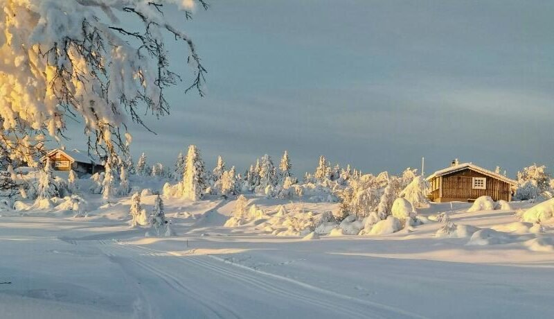 Family Cabin With Firepit At Søndre Fjellstølen