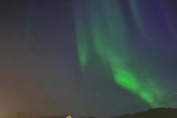 Northern Dream Lofoten