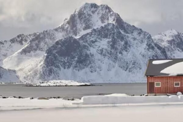 Polarhagen