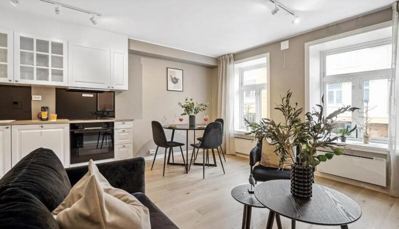 Beautiful city center apartment