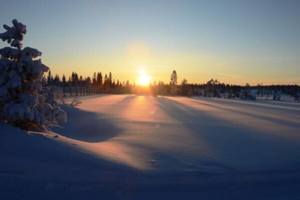 16 – Fulufjellets nasjonalparker – snø – alpint – langrenn – snøscooter