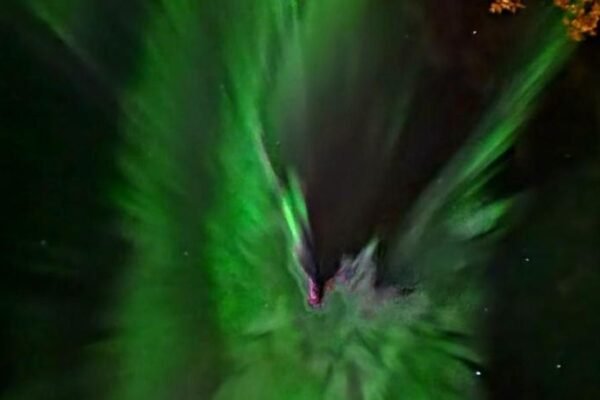 Fishermens House, 3 bedrooms apartment near the sea Medby Senja