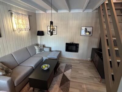 Nice apartment at Golsfjellet