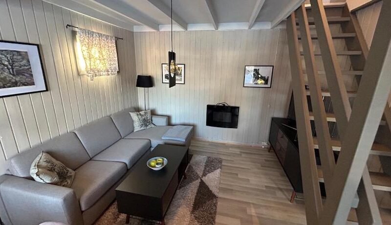 Nice apartment at Golsfjellet