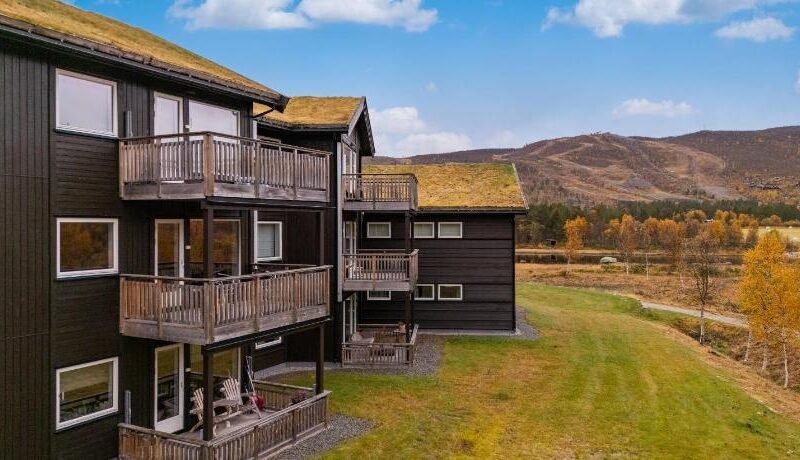 Geilotunet Apartment – close to everything, free parking in garage, EV