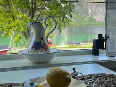 Cozy house with amazing view Lofoten and Vesteralen