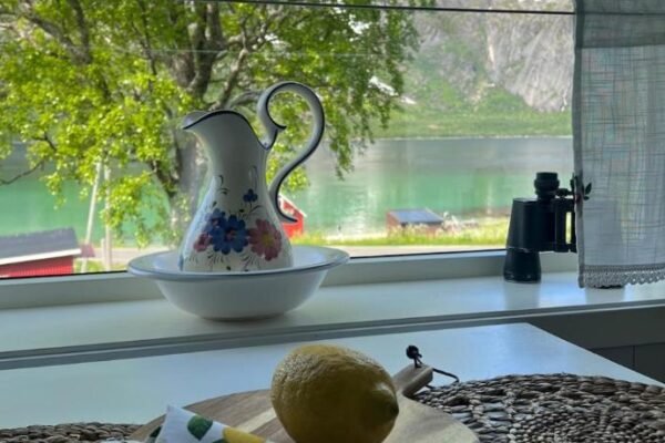 Cozy house with amazing view Lofoten and Vesteralen