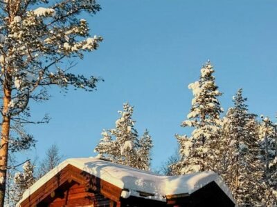 Newly Built Log Cabin Near Hardangervidda