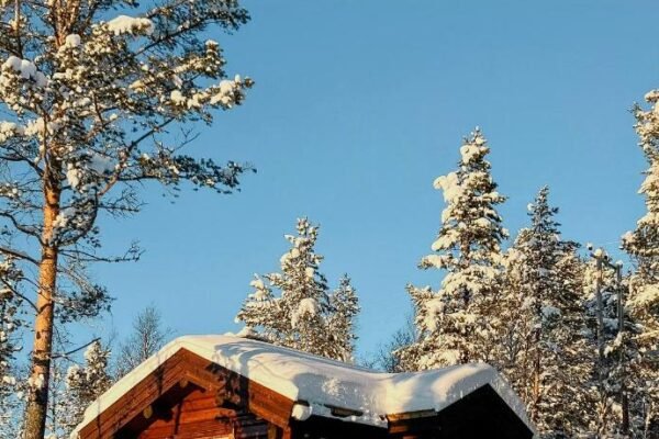 Newly Built Log Cabin Near Hardangervidda