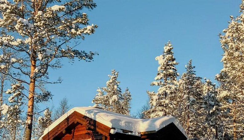 Newly Built Log Cabin Near Hardangervidda