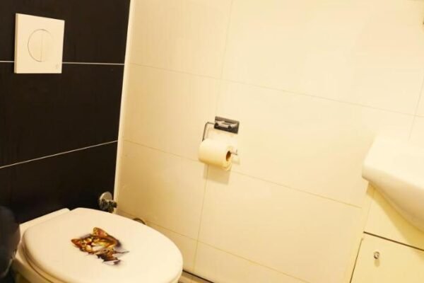 Hage Rooms