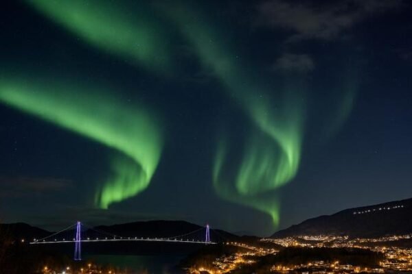 Ankenes Romutleie AS