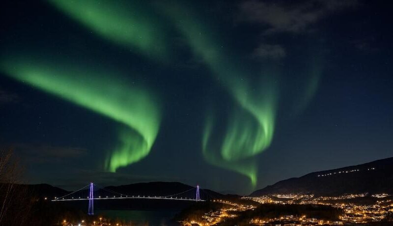 Ankenes Romutleie AS