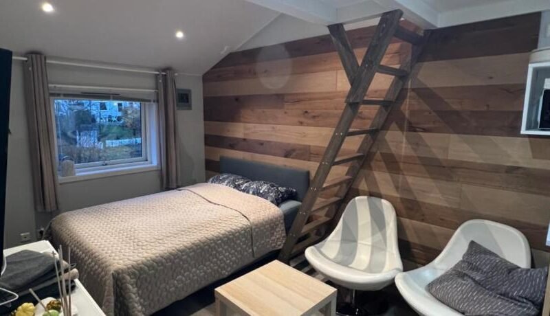 Sleep with the stars