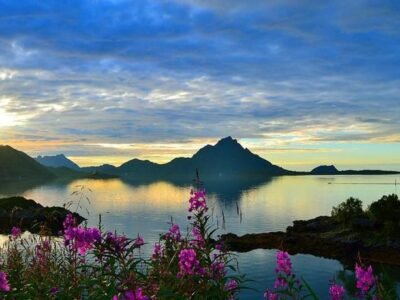 Skjellbogen Hyttegrend