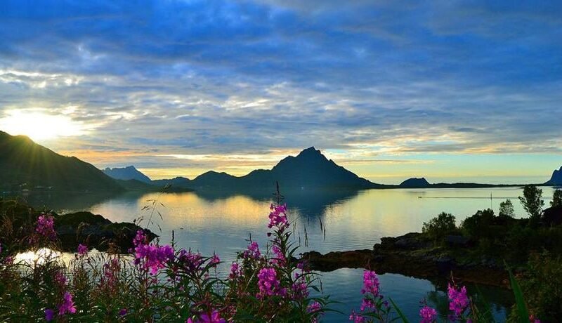 Skjellbogen Hyttegrend