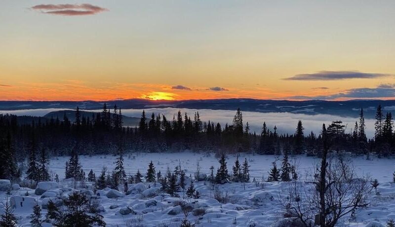 TexasToppen, cabin in Hafjell with sauna
