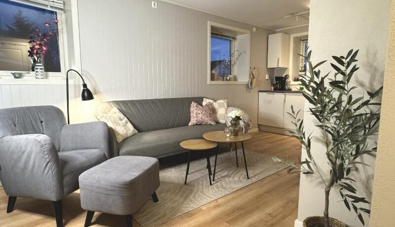 Cozy and Practical Apartment for Small Groups, Central Location