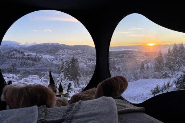 Birdbox Bergen