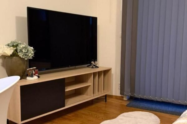 Modern apartment near Oslo