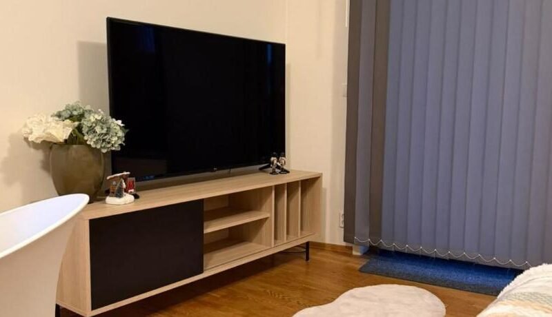 Modern apartment near Oslo