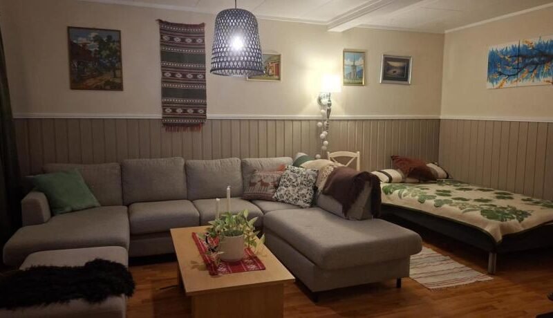 Apartement with free sauna and northern light