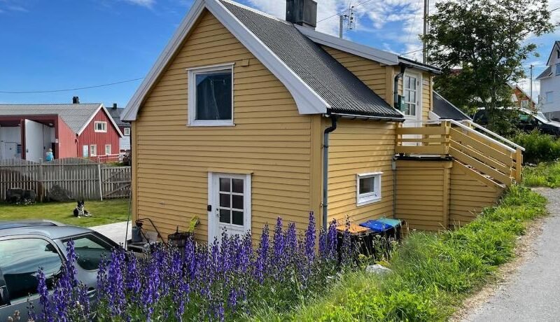 Cozy Little Yellow House