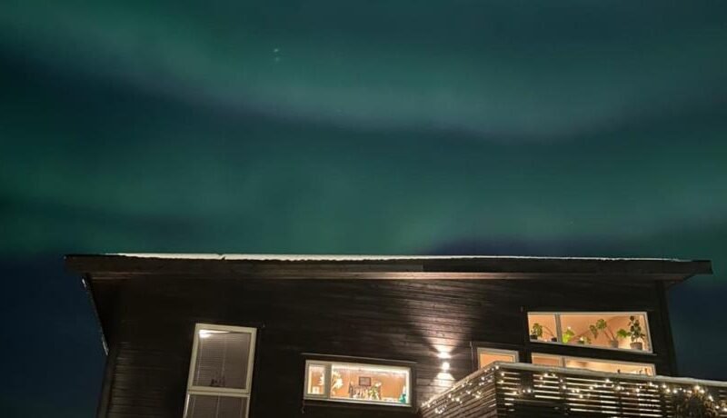 Central apartment from 2025