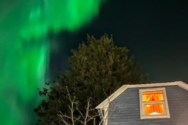 The Perfect Stop – Pinewood Loft