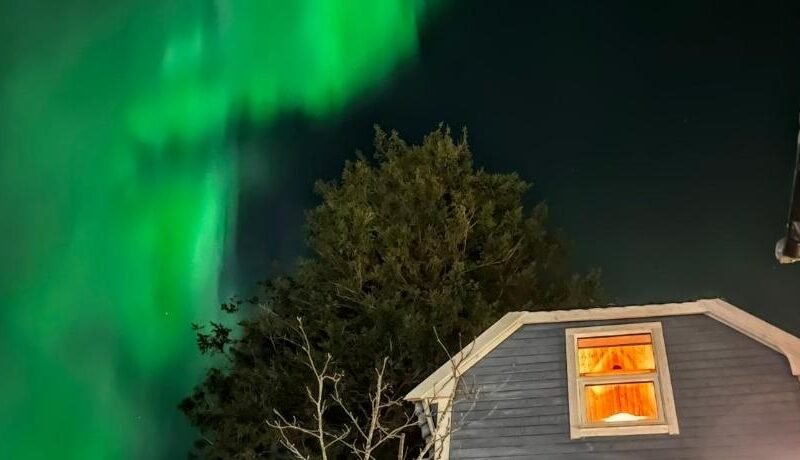 The Perfect Stop – Pinewood Loft