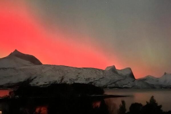 Efjord and Stetind Resort – Cabin Ocean