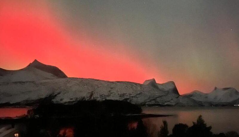 Efjord and Stetind Resort – Cabin Ocean