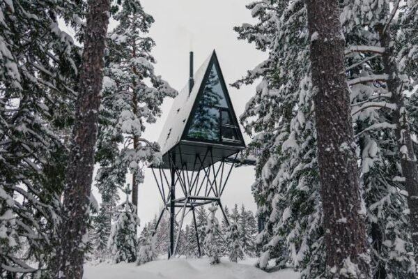 PAN Treetop Cabins