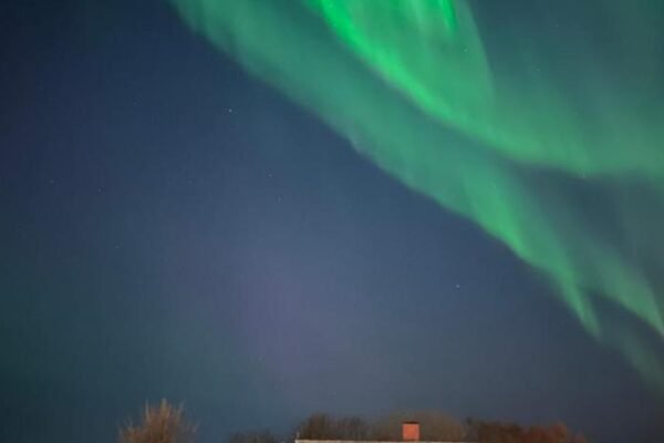 Lofoten – Spacious Room