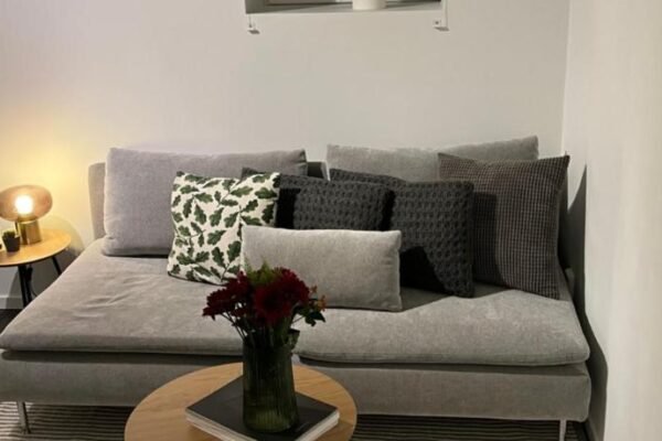 Newly renovated apartment close to city center