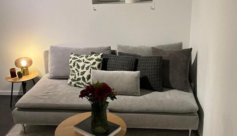 Newly renovated apartment close to city center