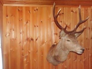 person holiday home in Mandalen